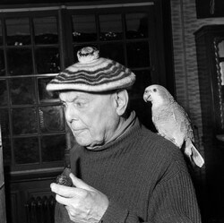 Pierre Mac Orlan pipe