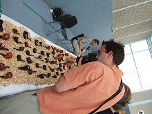 rheinbach pipe show 2010