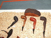 rheinbach pipe show 2010