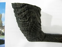 rheinbach pipe show 2010