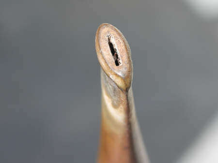 renaissance d'une Butz-Choquin