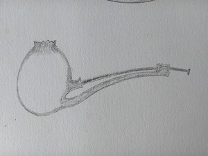 concours de dessin de Pipe