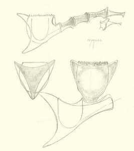 concours de dessin de Pipe