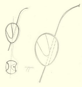 concours de dessin de Pipe