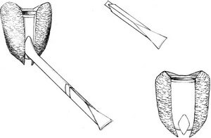 concours de dessin de Pipe