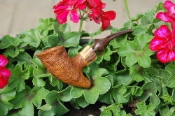 une pipe par Thomas Bazant
