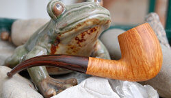 une pipe de Thomas Bazant