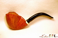 une pipe par Luciano Catini