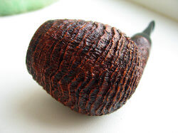 une pipe par Valeriy Shevchenko - Yabuhebi