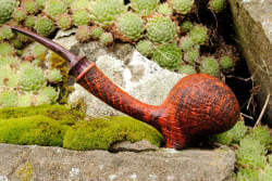 une pipe de Pavel Holub, Eclesias Pipes