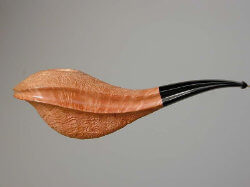 une pipe par Rolando Negoita