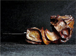 une pipe par Christian Wolfsteiner - Tarock Briar