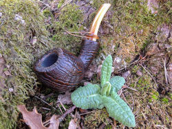 une pipe par Massimo Vaccari - VC Pipes