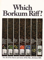 tabac borkum riff