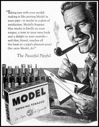 tabac model