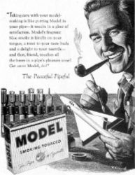 tabac model