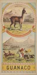tabac guanaco