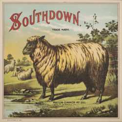 tabac southdown