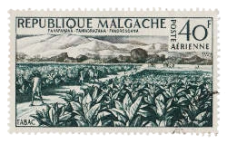 carte postale tabac pipe