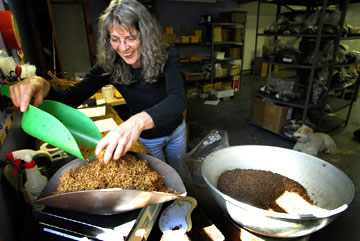 Pipeworks & Wilke Vermont Maple Cavendish