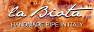 logo Michele Sottocasa - la Biota
