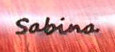 logo Sabina Santos