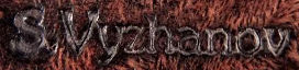 logo Sergey Vyzhanov