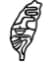 logo Jerry Zenn