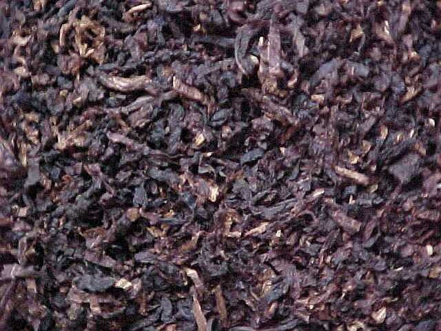 Synjeco Elephant Dung