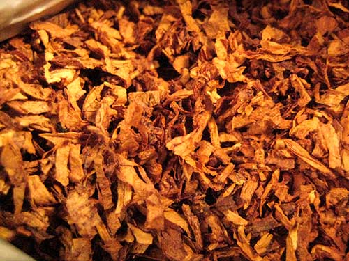 John Middleton Inc, Prince Albert