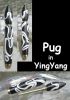 Pug_in_YingYang.jpg
