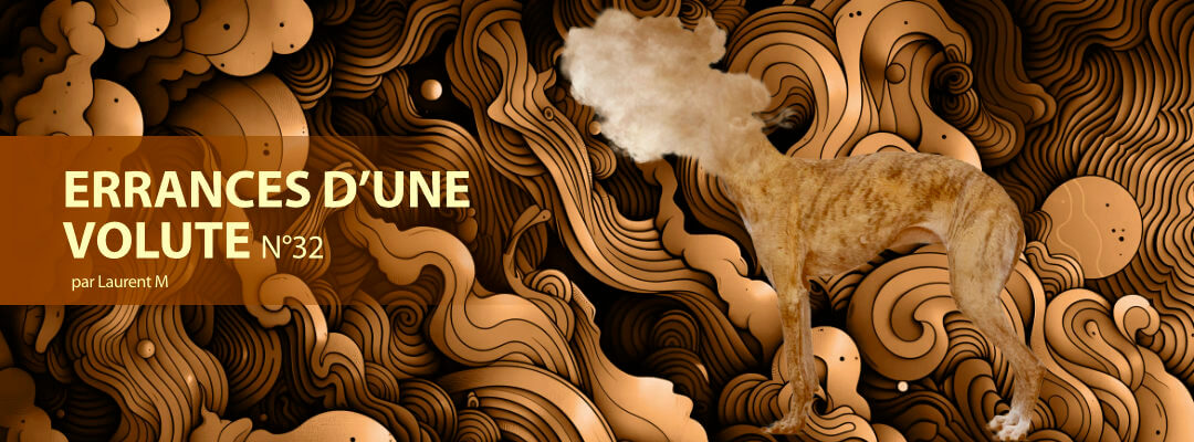 Errances d'une volute